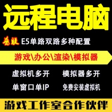 远程电脑租机服务器出租专注游戏挂机、模拟器虚拟机，单窗口单IP多开